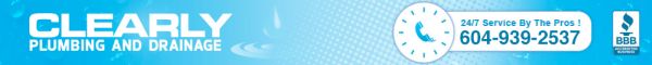 banner-bg